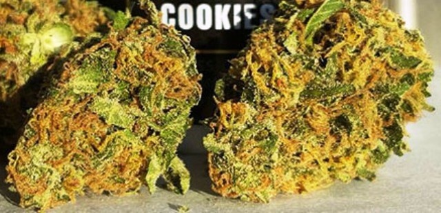 Weed shop in Prague. 
                    Grace’s Cookies Marijuana Strain