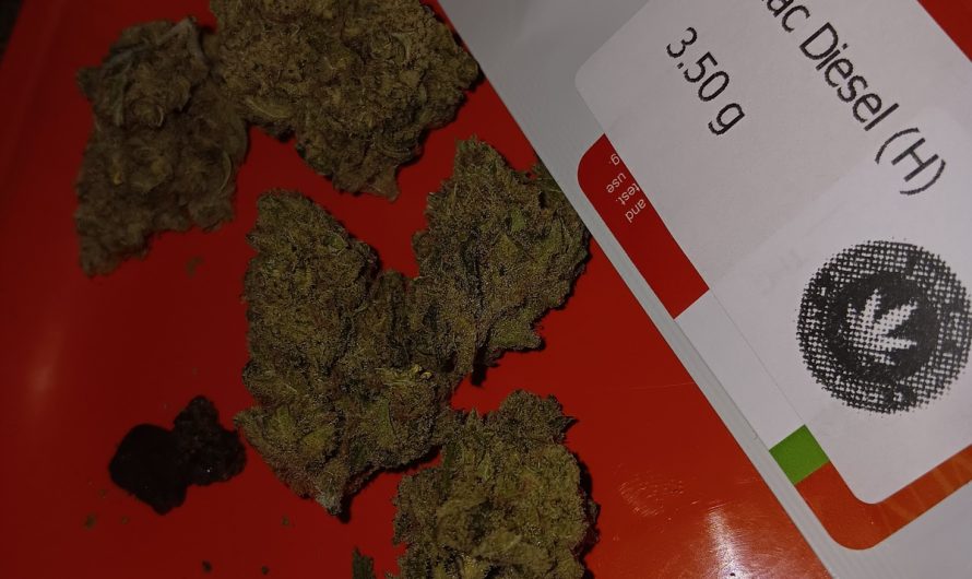 Weed shop in Prague. 
                    Lilac Diesel Marijuana Strain